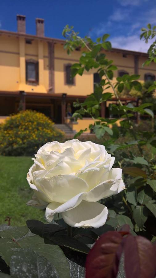 Boma Countryhouse Casale Bufalotta Luaran gambar